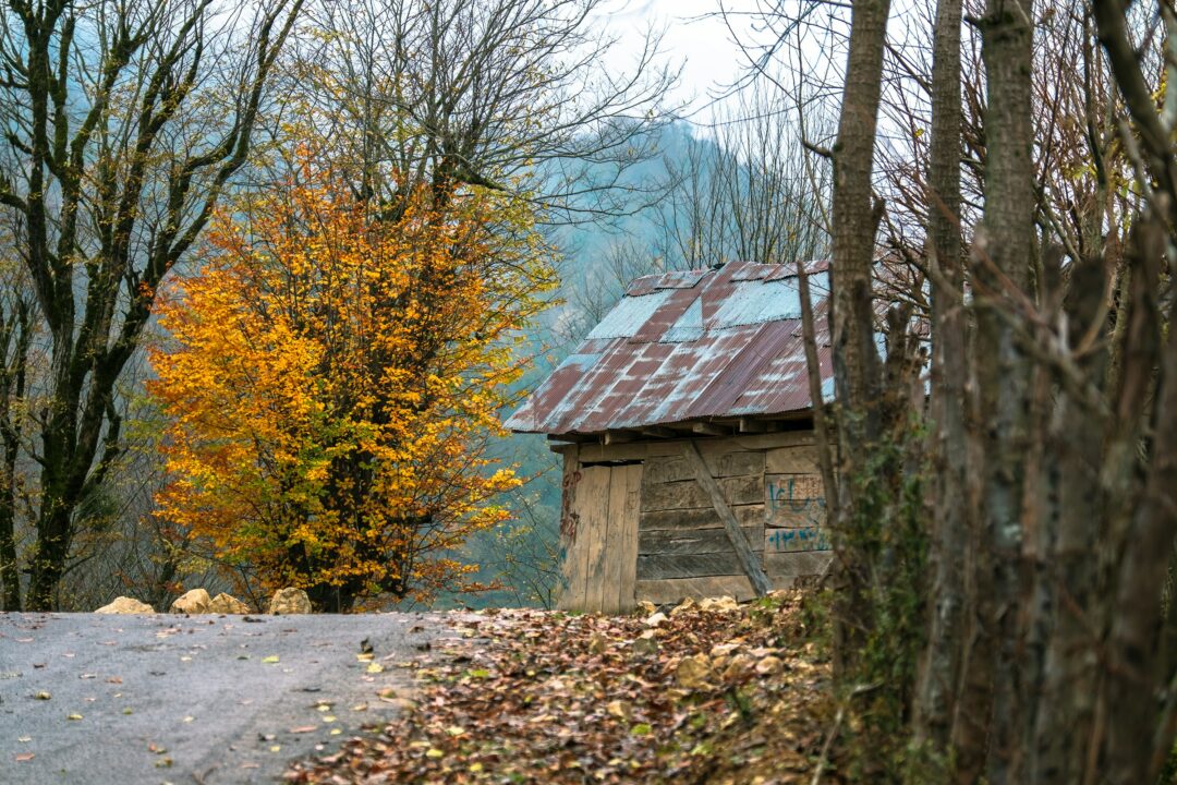 autumn home maintenance