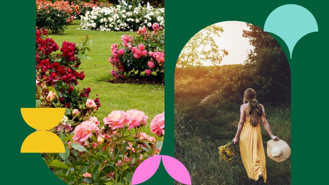 Where to celebrate Garden Day in Johannesburg: a guide to 7 beautiful spots